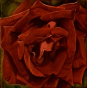 LOUIS_XIV_ROSE